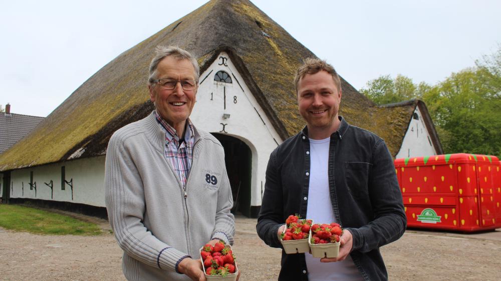 Eiderstedter Erdbeeren und mehr