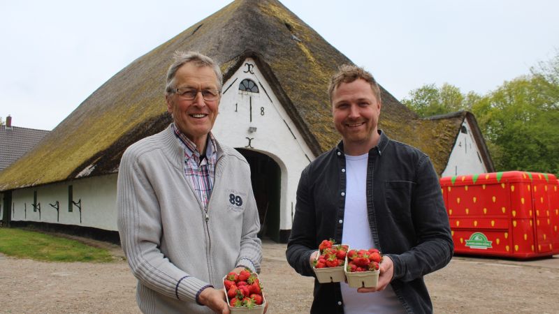 Eiderstedter Erdbeeren und mehr
