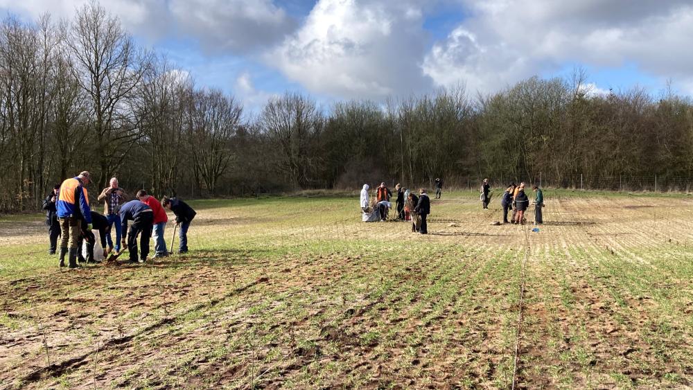 Schüler forsten Wald auf