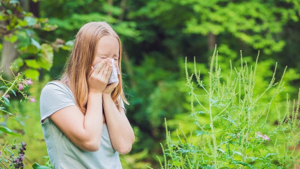 Ein Mädchen steht in der Natur und nießt in ein Taschentuch.