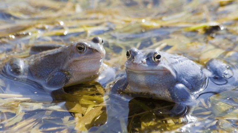 Für Fauna und Flora…und es werde nass