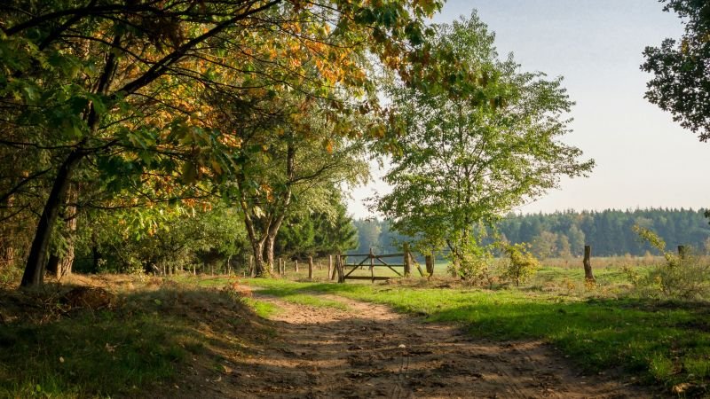 Die Schätze vor der Haustür entdecken