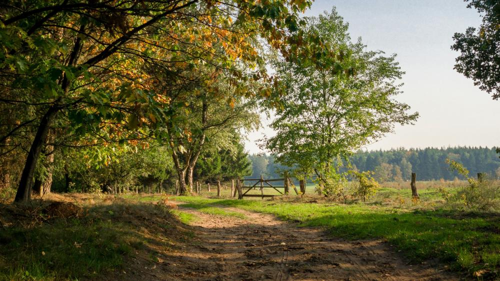 Die Schätze vor der Haustür entdecken