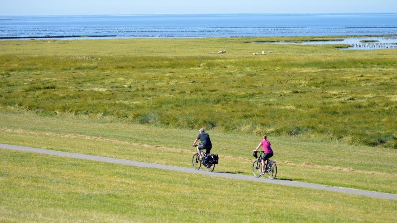 Zwei Fahrradfahrer am Meer