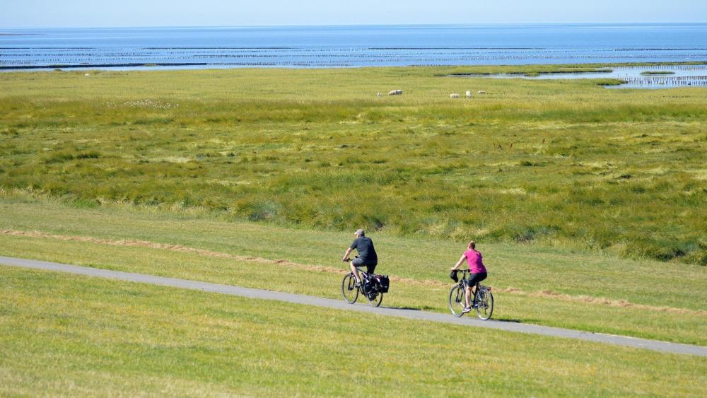 Zwei Fahrradfahrer am Meer
