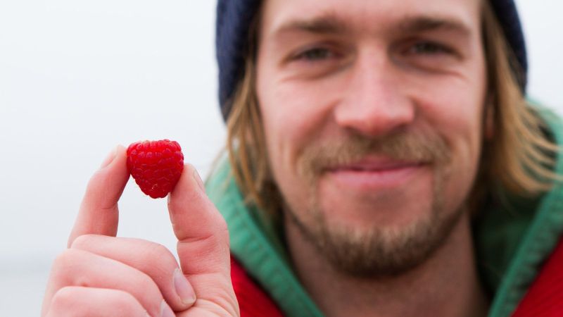 Ein Traum von Himbeeren