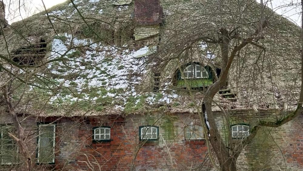 Altes Backsteinhaus mit Reetdach und mehreren kleinen Fenstern, teilweise von kahlen Bäumen umgeben